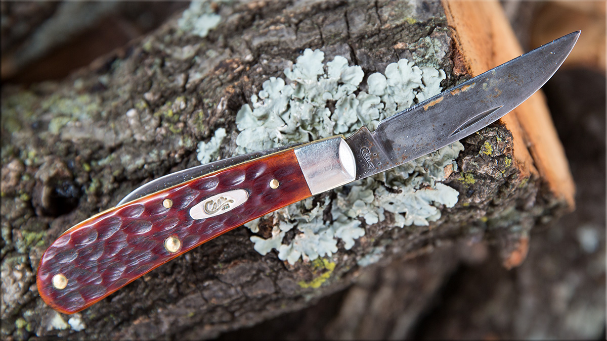 Case Sway Back Jack in CV coming back!